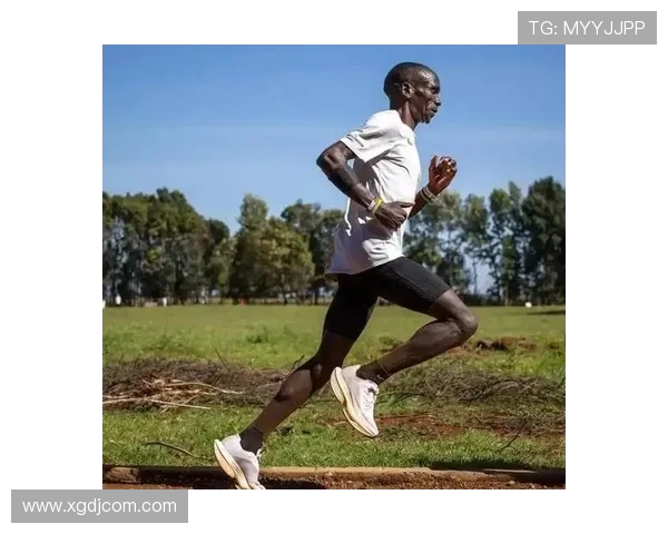 基普乔格步频与步幅的完美比例